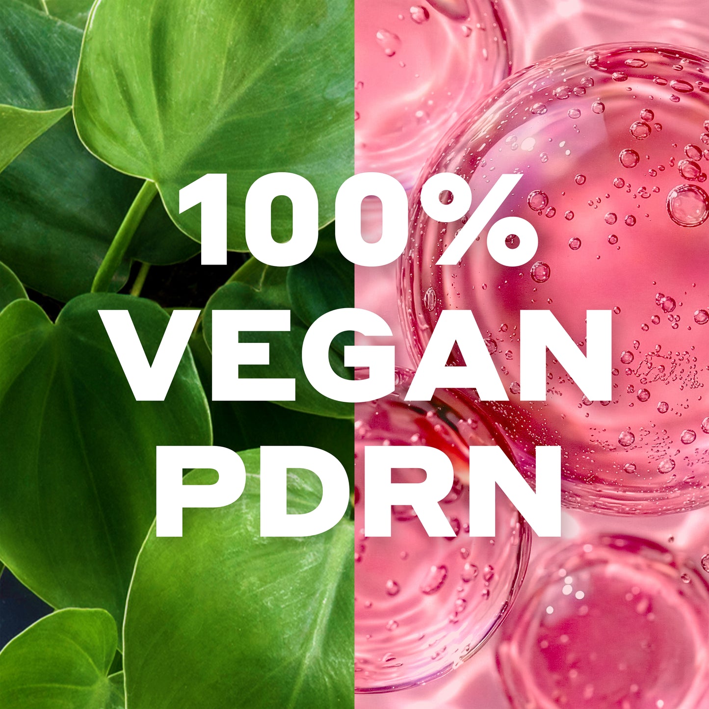 Advanced Peptıde PDRN Jelly Cream