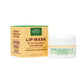 Lip Mask with Coconut and Mango